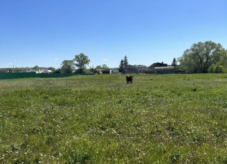 Продажа участка, 21 сот., деревня Байрак, улица Пушкина