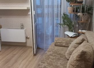 Однокомнатная квартира в аренду, 40 м2, Екатеринбург, улица Краснолесья