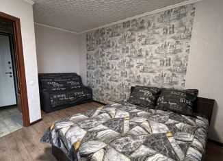 Сдается в аренду квартира студия, 32 м2, Череповец, улица Космонавта Беляева, 75