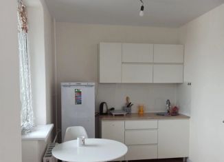 Аренда квартиры студии, 23 м2, Мурино, проспект Авиаторов Балтики, 29к2, ЖК Авиатор