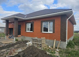 Продажа дома, 154 м2, село Пушкарное, Служилая улица, 8