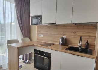 Сдается в аренду однокомнатная квартира, 25 м2, Сочи, улица Ленина, 298В/7, ЖК Касабланка