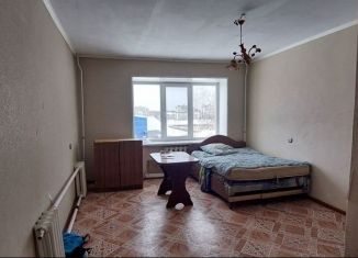 Продам однокомнатную квартиру, 34 м2, Нижегородская область, улица Мочалина, 14В