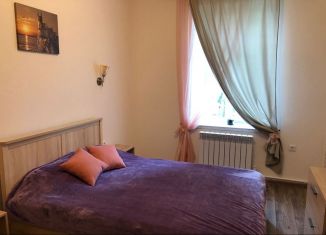 Сдаю в аренду двухкомнатную квартиру, 45 м2, Петергоф, Константиновская улица, 22