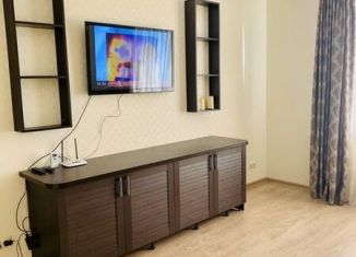 1-комнатная квартира в аренду, 43 м2, Московская область, Чекистская улица, 8