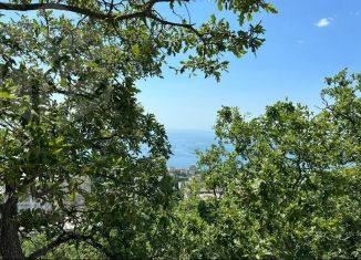 Продажа участка, 14 сот., посёлок городского типа Гаспра, улица Горького