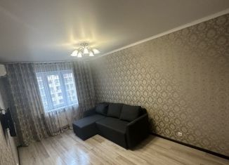 1-комнатная квартира в аренду, 35 м2, Краснодарский край, улица Евгении Жигуленко, 11к1