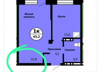 Продам однокомнатную квартиру, 43.2 м2, Красноярск