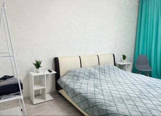 Сдается 1-ком. квартира, 41 м2, Челябинск, Ереванская улица, 14