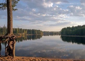 Продаю трехкомнатную квартиру, 72 м2, городской посёлок Вырица, Слуцкая улица, 13