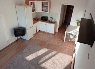 Сдам квартиру студию, 25.1 м2, деревня Новое Девяткино, Главная улица, 56