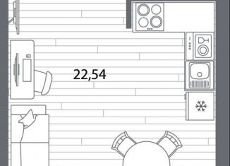 Продаю квартиру студию, 30.8 м2, Санкт-Петербург, муниципальный округ Пискарёвка