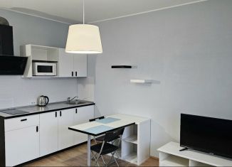 Аренда квартиры студии, 25 м2, Мурино, улица Шувалова, 27/7, ЖК Гринландия-2