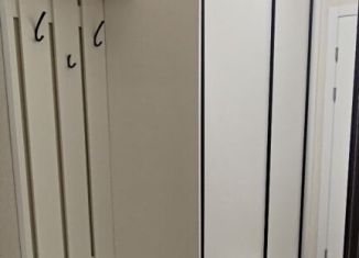 Аренда квартиры студии, 22.4 м2, посёлок Стрельна, проспект Будённого, 26к3