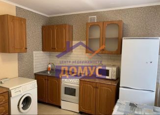 Сдача в аренду 1-комнатной квартиры, 48 м2, Белгородская область, улица Костюкова, 34