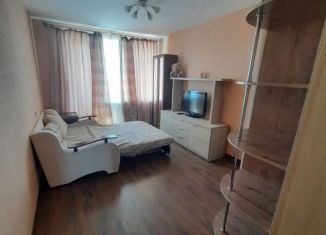 Сдаю в аренду 1-ком. квартиру, 30 м2, Красное Село, Красногородская улица, 15