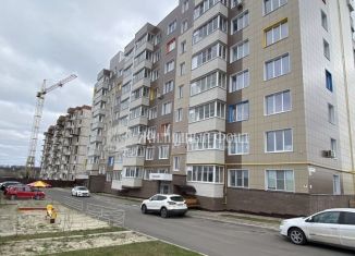 Однокомнатная квартира на продажу, 42.5 м2, Курская область, улица Генерала Григорова, 46