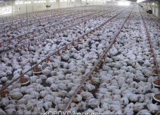 Продажа производства, 2450 м2, Ростов-на-Дону, Большая Садовая улица, 96