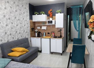 Сдам в аренду квартиру студию, 27 м2, Иркутск, улица Баумана, 269