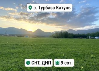 Земельный участок на продажу, 9 сот., село Турбаза Катунь, Сосновая улица