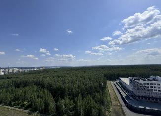 Сдаю в аренду 3-комнатную квартиру, 52.5 м2, Челябинск, улица Академика Макеева, ЖК Ньютон