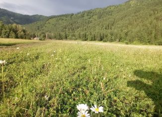 Земельный участок на продажу, 9.1 сот., село Турбаза Катунь, Сосновая улица