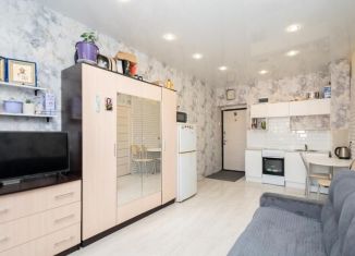 Продажа квартиры студии, 22.1 м2, рабочий поселок Маркова, микрорайон Берёзовый, 267