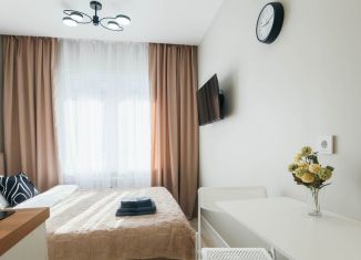 Квартира в аренду студия, 15 м2, Иркутск