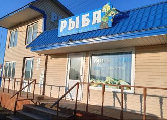 Сдам торговую площадь, 50 м2, поселок городского типа Емельяново, Советская улица, 170В