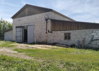 Склад на продажу, 1060 м2, Сасово, Ново-Елатомская улица, 1