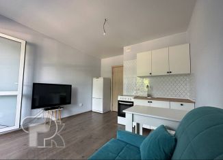 Продается квартира студия, 19.7 м2, рабочий посёлок Лопатино, Сухановская улица, 26, ЖК Государев Дом