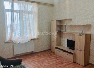 Продажа 1-ком. квартиры, 31 м2, Санкт-Петербург, проспект Маршала Блюхера, 9к2, Калининский район