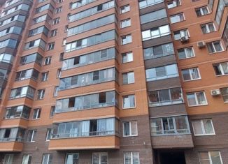 Квартира в аренду студия, 26.1 м2, посёлок Металлострой, Полевая улица, 9