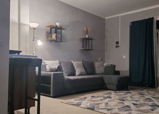 Сдается в аренду двухкомнатная квартира, 78 м2, Ессентуки, улица Фрунзе, 42