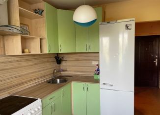 Сдается 1-ком. квартира, 34 м2, Санкт-Петербург, Мартыновская улица, 14к1, Мартыновская улица