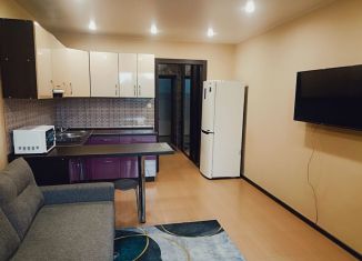 Сдам в аренду квартиру студию, 21 м2, Благовещенск, улица Шимановского, 82