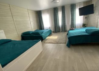 Сдаю в аренду дом, 50 м2, Татарстан, улица Гора Марс, 22