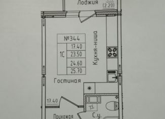 Сдам в аренду квартиру студию, 24 м2, городской посёлок Новоселье, Центральная улица, 18