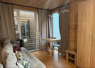 Сдам в аренду дом, 18 м2, посёлок городского типа Красная Поляна, улица Защитников Кавказа, 65/4