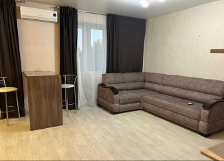 Сдаю в аренду квартиру студию, 35 м2, Самара, Осетинская улица, 5, Куйбышевский район