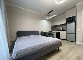 Сдается квартира студия, 30 м2, Республика Башкортостан, улица Гали Ибрагимова, 5/3