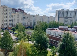 3-ком. квартира на продажу, 72 м2, Санкт-Петербург, улица Тельмана, 45к1, муниципальный округ Народный