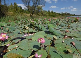 Продажа участка, 6 сот., село Студёновка, Фиалковая улица