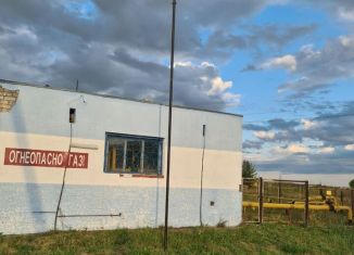 Продается участок, 10 сот., деревня Шинерпоси, Восточная улица