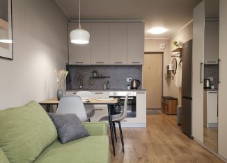 Сдается в аренду квартира студия, 23 м2, посёлок Парголово, Толубеевский проезд, 8к2