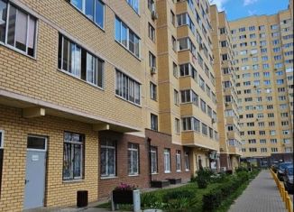 Двухкомнатная квартира на продажу, 64.3 м2, Мытищи, 2-я Институтская улица, 24, ЖК Спутник