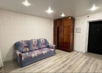 Квартира в аренду студия, 26 м2, Республика Башкортостан, улица Генерала Ишбулатова, 8/4