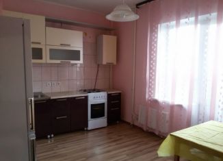 Сдаю 1-ком. квартиру, 45 м2, деревня Родина, Никольская улица, 3А