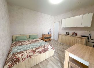 Квартира в аренду студия, 22 м2, Сочи, улица Чкалова, 67