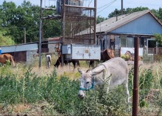 Участок на продажу, 6 сот., станица Новодмитриевская, улица Ленина